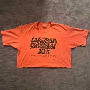 Vintage 1990s Lakeside Gistobal Cropped Tshirt